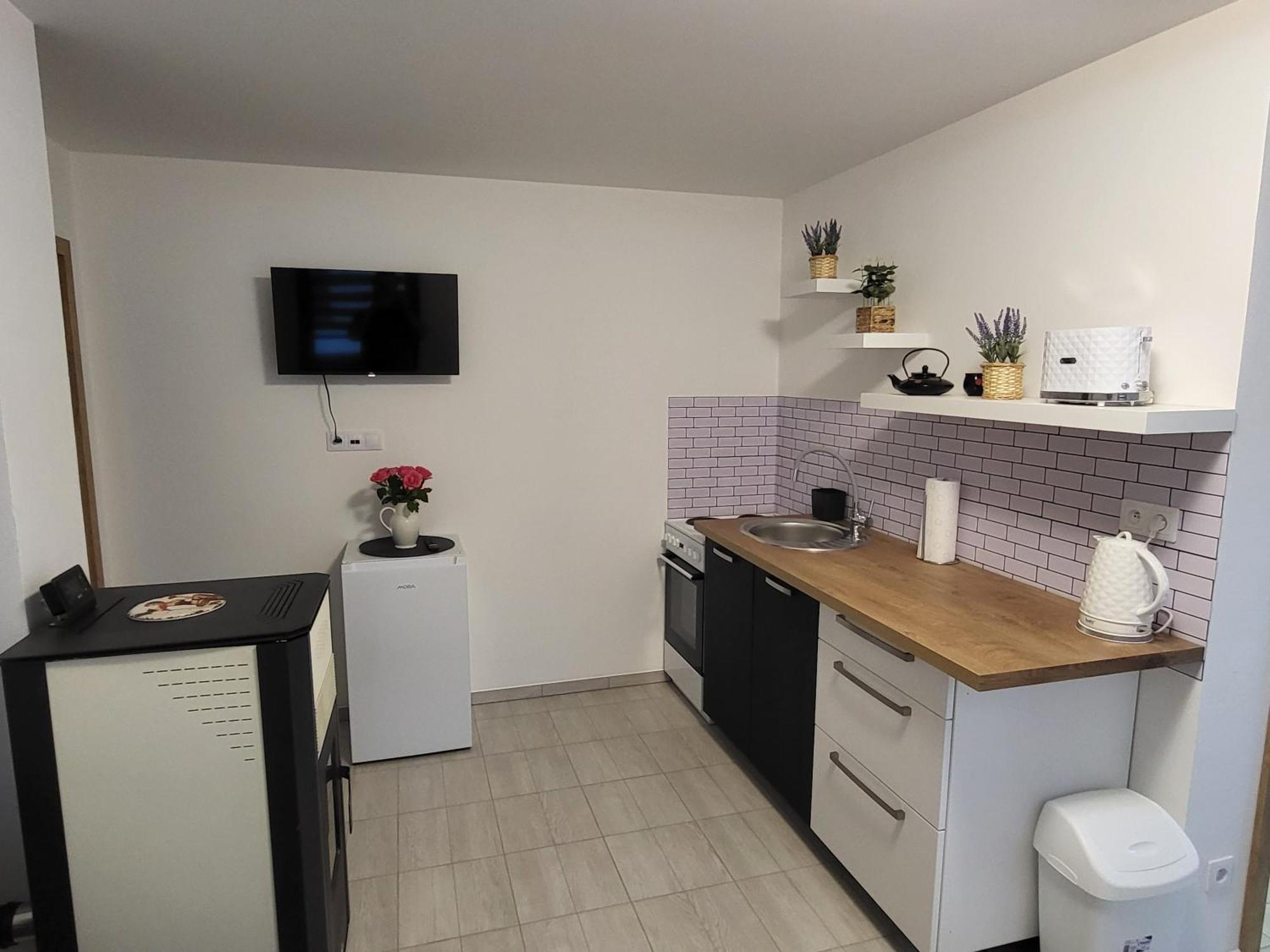 Apartman Na Karlicku Karlov  Екстер'єр фото