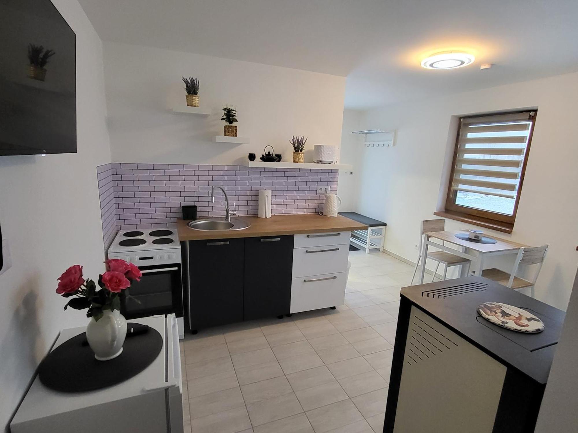Apartman Na Karlicku Karlov  Екстер'єр фото